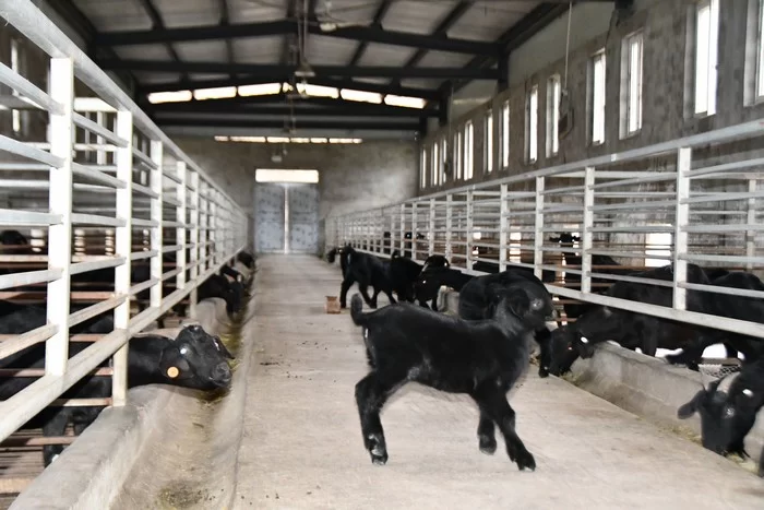 领导专家齐聚,探讨“忠华盛世金牧粮草”高科技种养循环产业发展(图9) 领导专家齐聚,探讨“忠华盛世金牧粮草”高科技种养循环产业发展(图9)