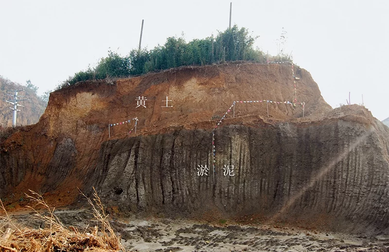 中华5000多年文明的考古实证(图1)