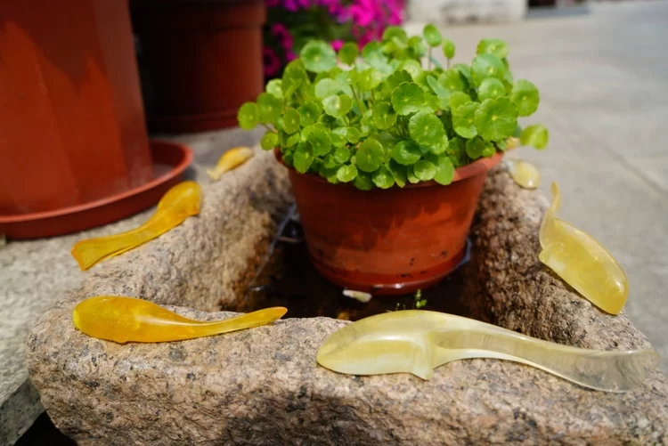 “公筷公勺”拼创意 你更中意哪一款?(图3) “公筷公勺”拼创意 你更中意哪一款?(图3)