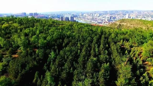 城市品质全域嬗变 发展能级持续跃升——砥砺奋进的神木步履铿锵(图7)