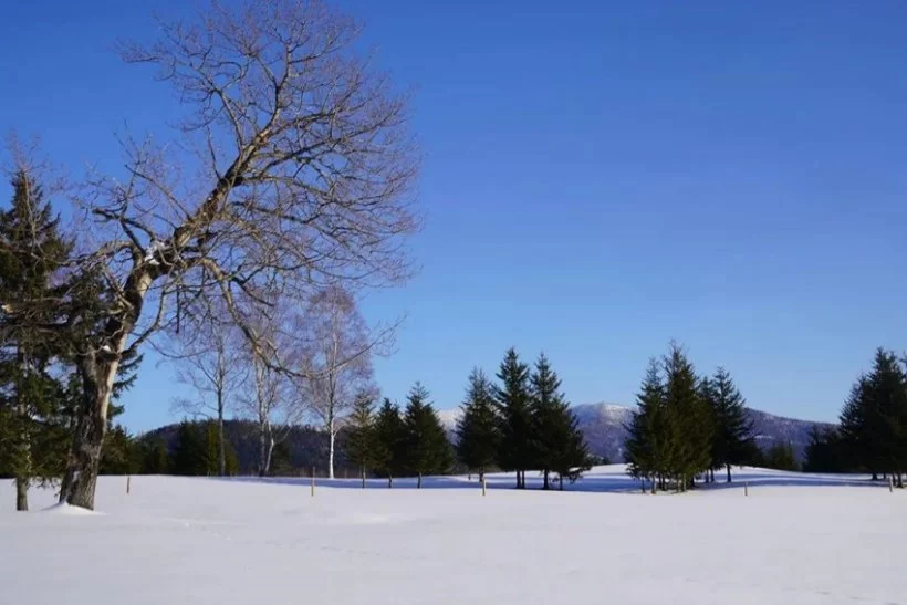 中轴百张面孔寄语 | 众人寄语壮美中轴线,预祝大赛完美收(图16) 中轴百张面孔寄语 | 众人寄语壮美中轴线,预祝大赛完美收(图16)