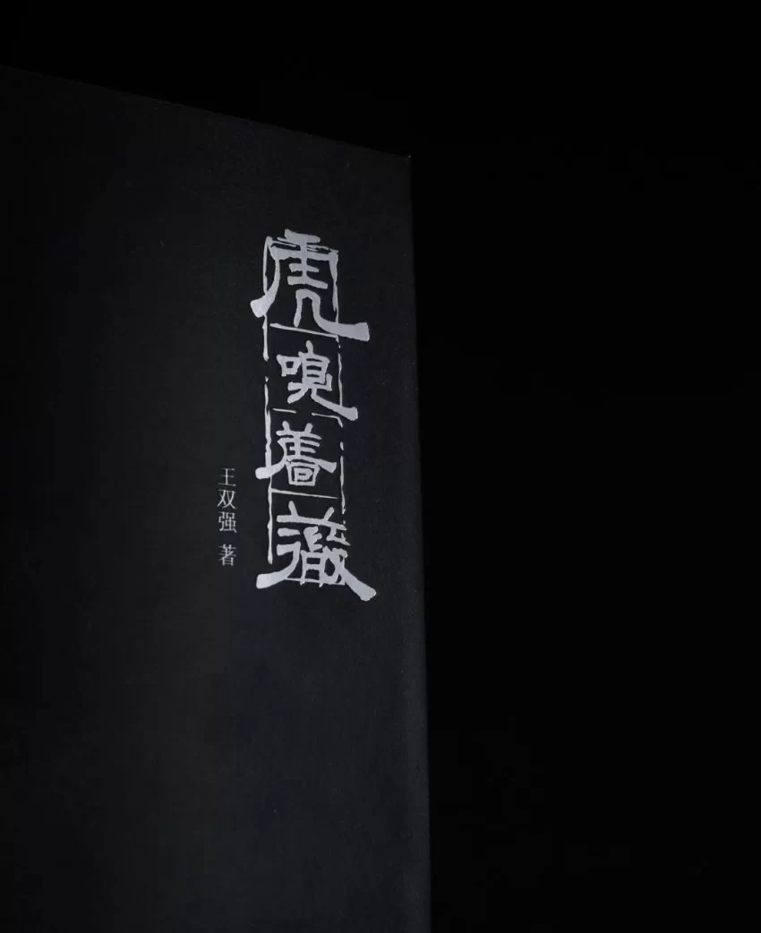 新书丨《虎嗅蔷薇》——精英与文化同框(图20)