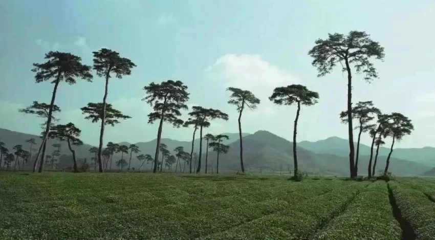 绍兴文化的公共精神(图10) 绍兴文化的公共精神(图10)