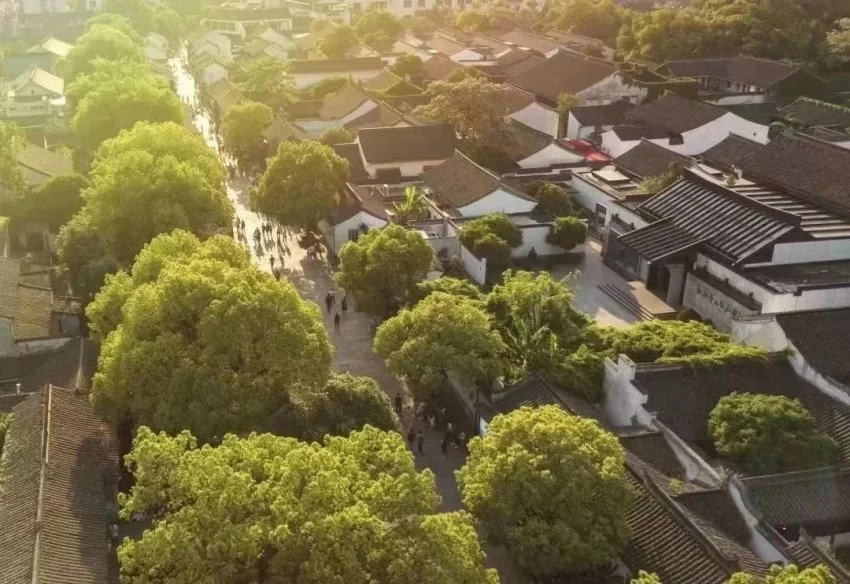 绍兴文化的公共精神(图13) 绍兴文化的公共精神(图13)