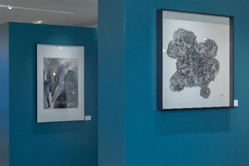 中藝畫廊攜手前香港藝術館總館長呈獻「三家聚流 – 水墨新境」特展(图4) 中藝畫廊攜手前香港藝術館總館長呈獻「三家聚流 – 水墨新境」特展(图4)