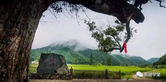 营造的光亮——景德镇首届美丽乡村论坛总结发言兼赠黄薇