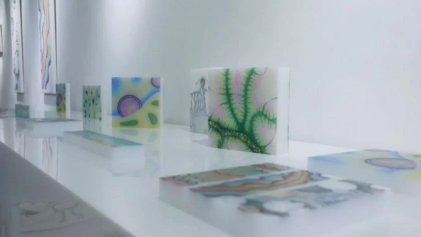 黑鸣漪个展“意象”在京开幕(图7) 黑鸣漪个展“意象”在京开幕(图7)