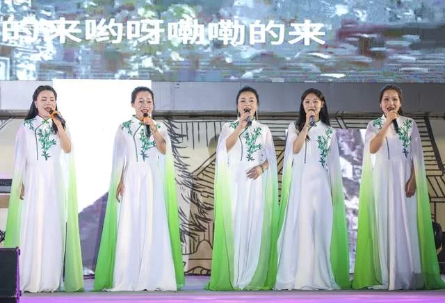 “面朝大海·春暖花开”龙港乡村音乐嘉年华活动在广西龙潭镇举行(图3)