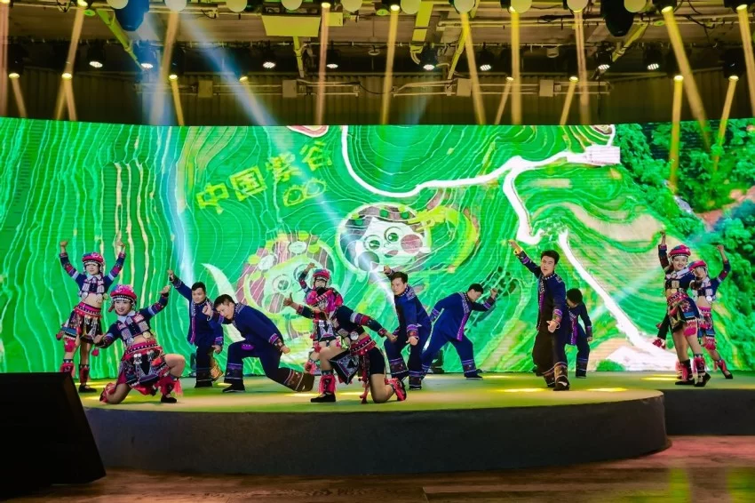 双生之美，理想之城——第十九届墨江北回归线国际双胞胎节正式启动(图11)