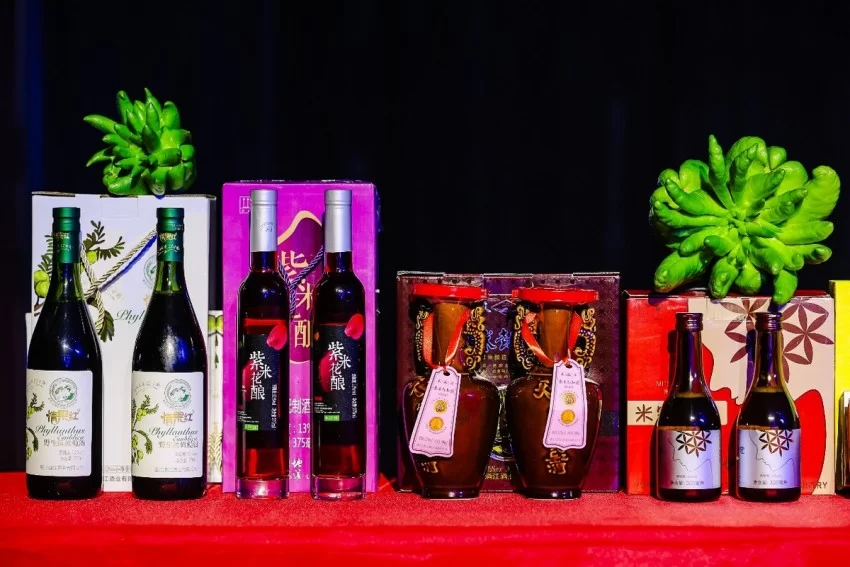 双生之美，理想之城——第十九届墨江北回归线国际双胞胎节正式启动(图13)