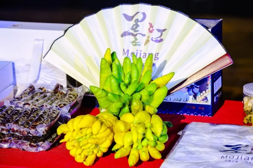 双生之美，理想之城——第十九届墨江北回归线国际双胞胎节正式启动(图14)