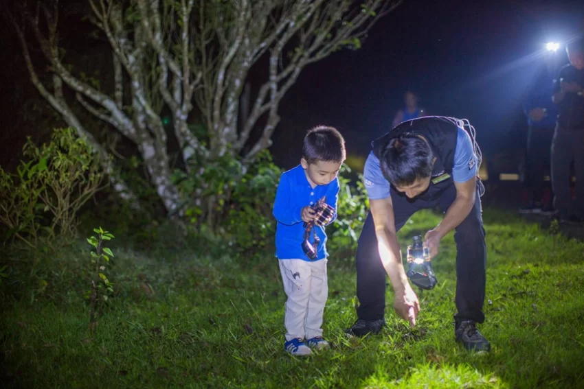 “聪明游”如何提供旅游新体验?(图2) “聪明游”如何提供旅游新体验?(图2)