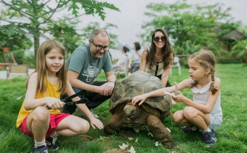 民宿集群点亮崇左乡村