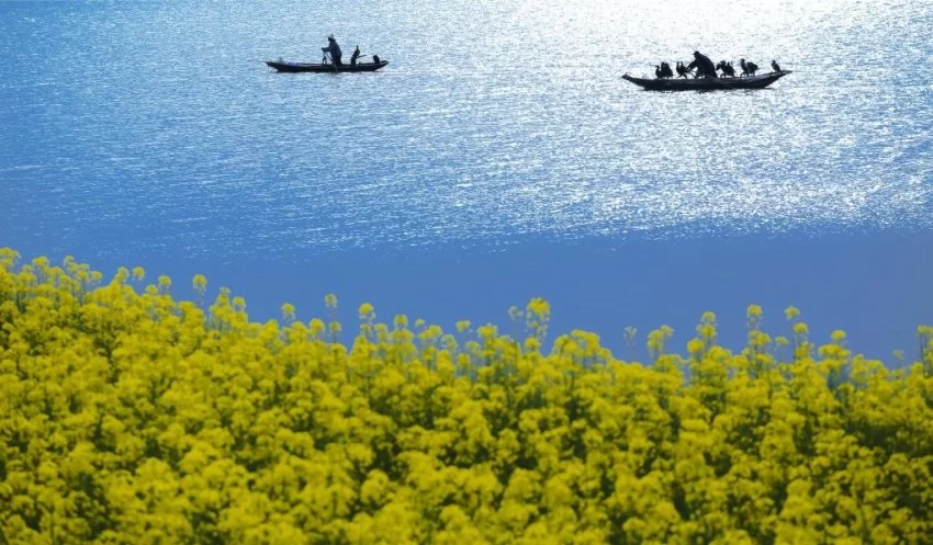 来扬州,找到你的专属度假方式!八大度假区“承包”你的假期(图5) 来扬州,找到你的专属度假方式!八大度假区“承包”你的假期(图5)