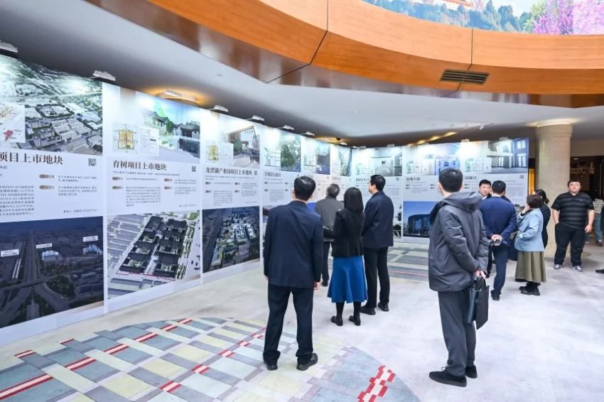 “紫金服务”品牌矩阵发布——北京东城区优化营商环境大会见证政企“双向奔赴”(图8) “紫金服务”品牌矩阵发布——北京东城区优化营商环境大会见证政企“双向奔赴”(图8)