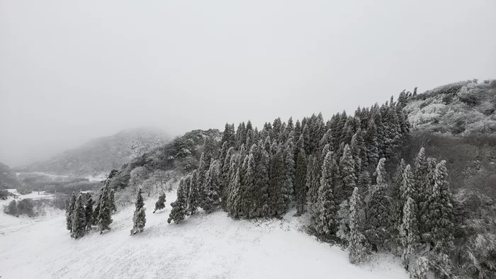 重庆金佛寺和国是成都智库共同举办文化传承活动祈福盛世新景
