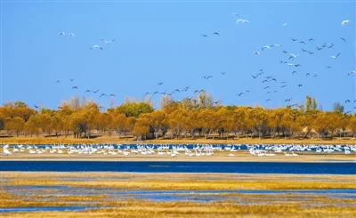 榆林:中国治沙从这里起步(图2) 榆林:中国治沙从这里起步(图2)