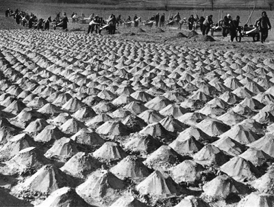 榆林:中国治沙从这里起步(图7) 榆林:中国治沙从这里起步(图7)