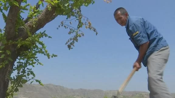 神木:用好用活财政专项扶贫资金 精准助力脱贫攻坚(图2) 神木:用好用活财政专项扶贫资金 精准助力脱贫攻坚(图2)