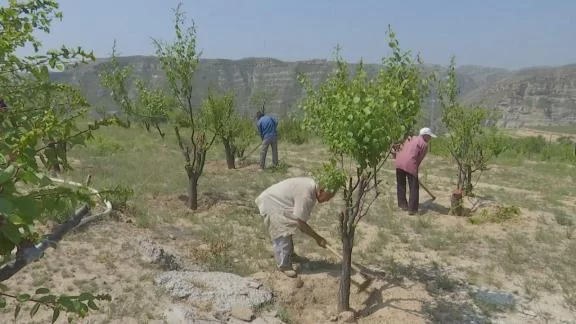 神木:用好用活财政专项扶贫资金 精准助力脱贫攻坚(图1) 神木:用好用活财政专项扶贫资金 精准助力脱贫攻坚(图1)