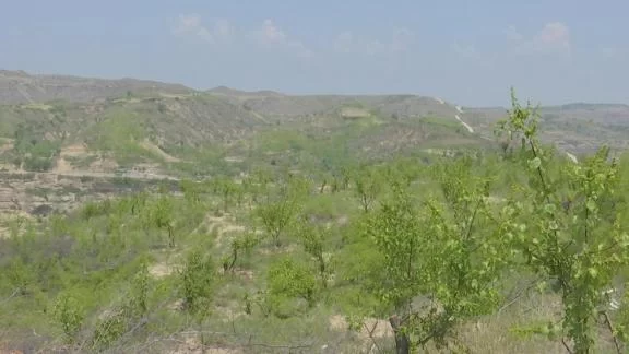 神木:用好用活财政专项扶贫资金 精准助力脱贫攻坚(图4) 神木:用好用活财政专项扶贫资金 精准助力脱贫攻坚(图4)