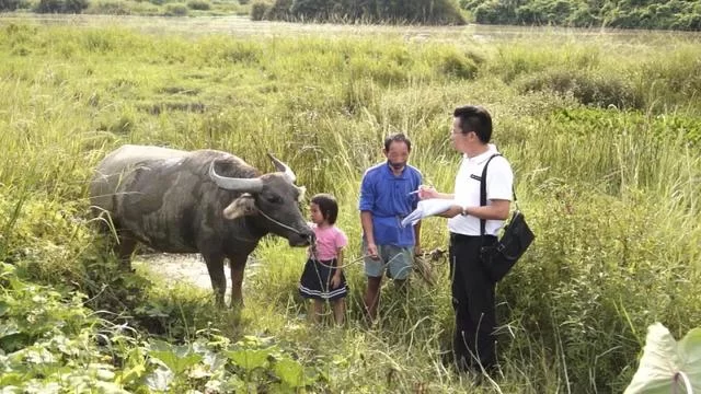 现实版《放牛班的春天》:扶贫路上,他在大山里建了支童声合唱团(图4) 现实版《放牛班的春天》:扶贫路上,他在大山里建了支童声合唱团(图4)