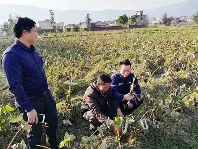 现实版《放牛班的春天》:扶贫路上,他在大山里建了支童声合唱团(图5) 现实版《放牛班的春天》:扶贫路上,他在大山里建了支童声合唱团(图5)