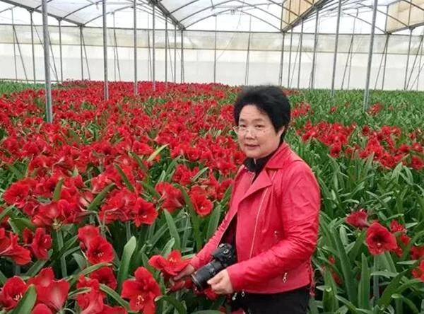 80后东莞花农,人生像兰花一样绽放(图7) 80后东莞花农,人生像兰花一样绽放(图7)