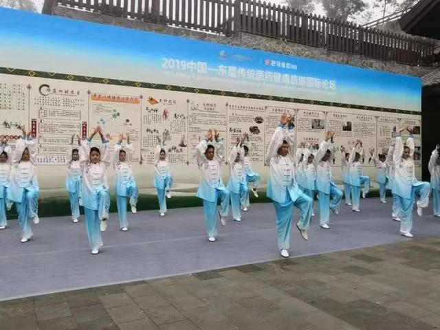 中国—东盟传统医药健康旅游国际论坛聚焦传统医药健康旅游发展与合作(图3) 中国—东盟传统医药健康旅游国际论坛聚焦传统医药健康旅游发展与合作(图3)