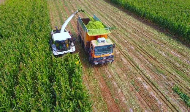 神木:勠力同心携手奋进 共绘脱贫攻坚新画卷(图3) 神木:勠力同心携手奋进 共绘脱贫攻坚新画卷(图3)