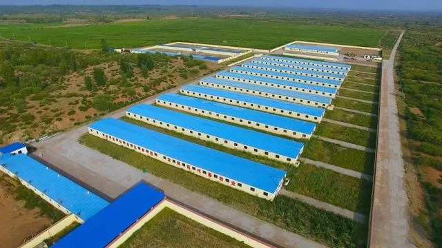 神木:勠力同心携手奋进 共绘脱贫攻坚新画卷(图1) 神木:勠力同心携手奋进 共绘脱贫攻坚新画卷(图1)