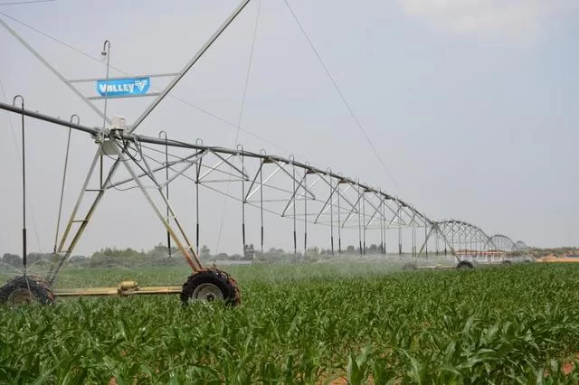 神木:勠力同心携手奋进 共绘脱贫攻坚新画卷(图4) 神木:勠力同心携手奋进 共绘脱贫攻坚新画卷(图4)