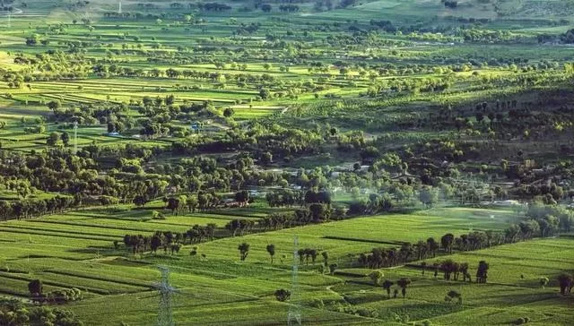 塞上儿女再创绿色奇迹——榆林市成功创建"国家森林城市"纪实(图4) 塞上儿女再创绿色奇迹——榆林市成功创建"国家森林城市"纪实(图4)