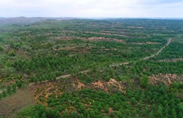 塞上儿女再创绿色奇迹——榆林市成功创建"国家森林城市"纪实(图3) 塞上儿女再创绿色奇迹——榆林市成功创建"国家森林城市"纪实(图3)