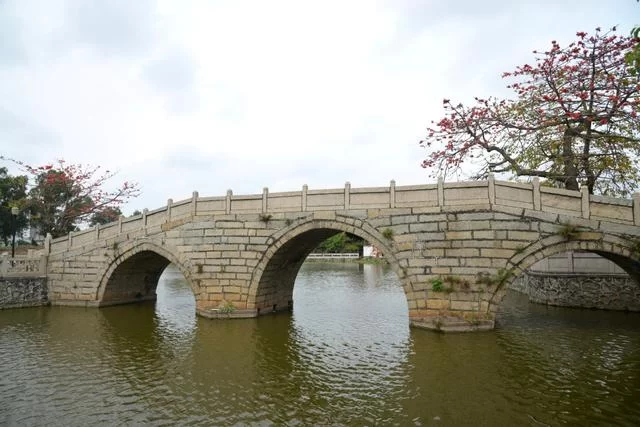 南国古镇 文化飘香——深圳市宝安区新桥街道传统文化发展动力澎湃(图6) 南国古镇 文化飘香——深圳市宝安区新桥街道传统文化发展动力澎湃(图6)