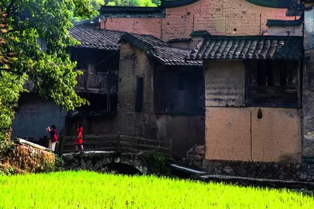 春到闽东来 几处萌新芽——屏南古村的文创实践(图3) 春到闽东来 几处萌新芽——屏南古村的文创实践(图3)