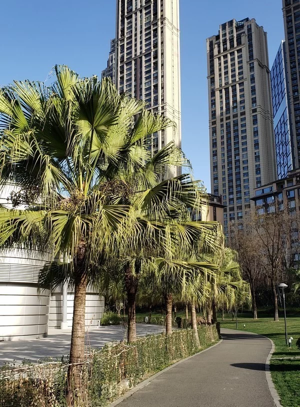 龙顺:在风雪中屹立(图3) 龙顺:在风雪中屹立(图3)