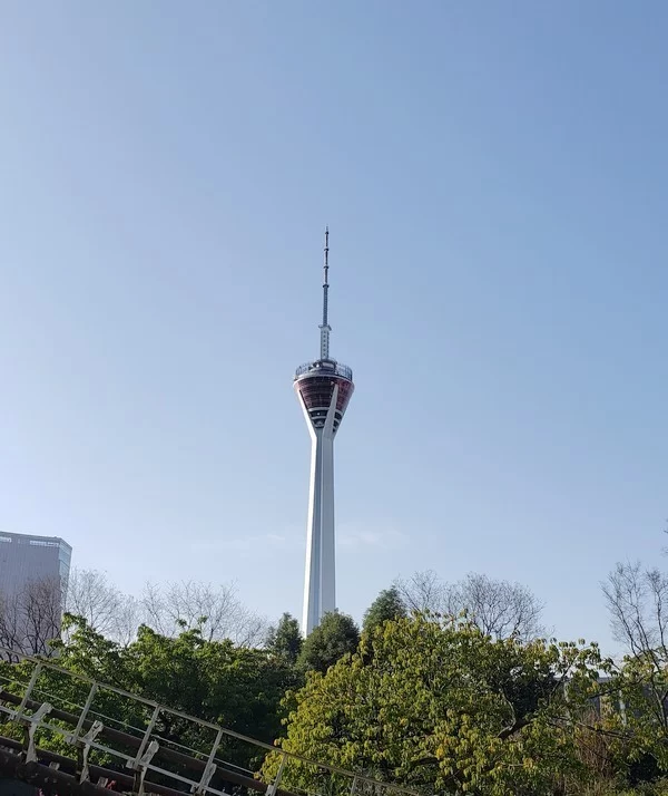 龙顺:在风雪中屹立(图4) 龙顺:在风雪中屹立(图4)