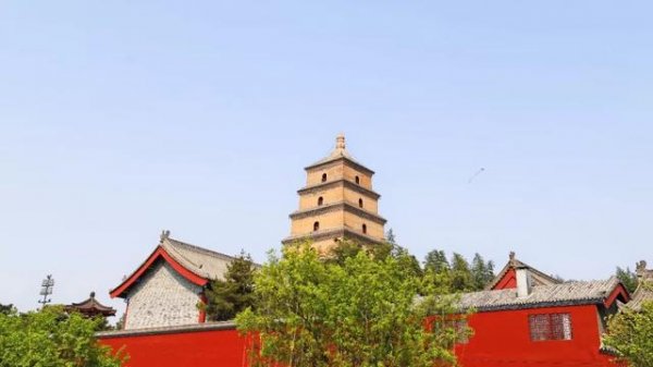 陕西秦汉新城大秦文明园：送上防疫指南，共迎春暖花开