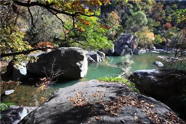 春暖花开 疫情尽散 春游去吧!(图11) 春暖花开 疫情尽散 春游去吧!(图11)