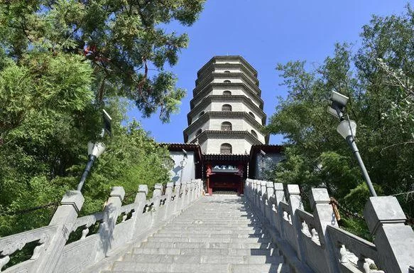 春暖花开 疫情尽散 春游去吧!(图26) 春暖花开 疫情尽散 春游去吧!(图26)