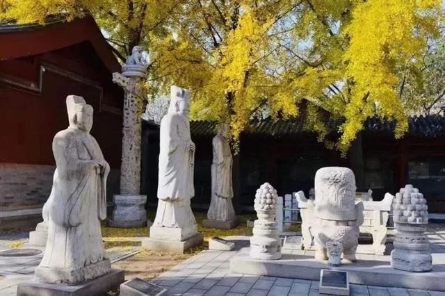 春暖花开季 阅读正当时——角楼图书馆线上直播＂2020读城＂活动启动(图6)