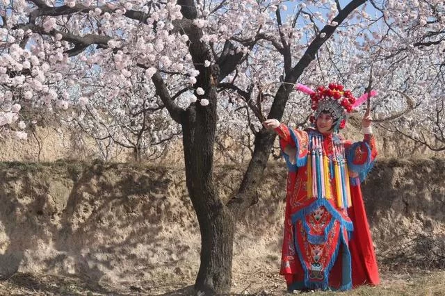 山西运城百花节:“美丽乡村”带来“美丽经济”(图3) 山西运城百花节:“美丽乡村”带来“美丽经济”(图3)