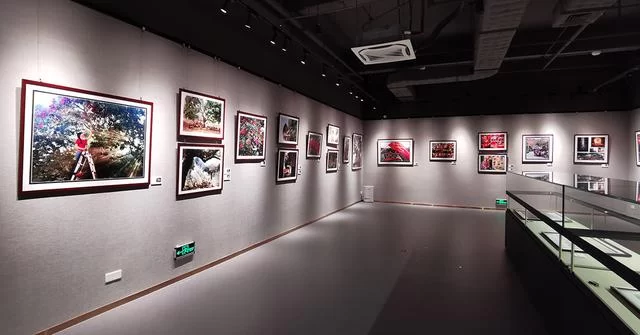 “红土荔香书岭南”东莞大岭山荔香文化展6月10日开幕(图13) “红土荔香书岭南”东莞大岭山荔香文化展6月10日开幕(图13)