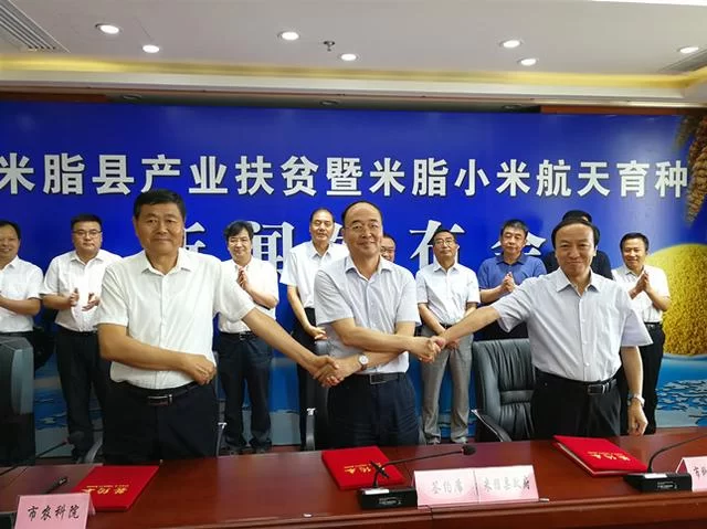 貂蝉故里米脂县:久负盛名的“米脂小米”乘上了航天育种“火箭专车”(图5) 貂蝉故里米脂县:久负盛名的“米脂小米”乘上了航天育种“火箭专车”(图5)