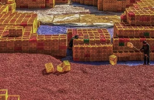 火塔点亮圆心梦　咱们赶上好时候——陕西省榆林市多举措确保高质量打赢脱贫攻坚战(图5)