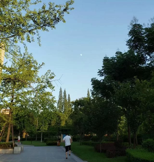 蜀山龙建儒:时光滚烫,岁月悠长,世界拥挤我也很忙(图6) 蜀山龙建儒:时光滚烫,岁月悠长,世界拥挤我也很忙(图6)