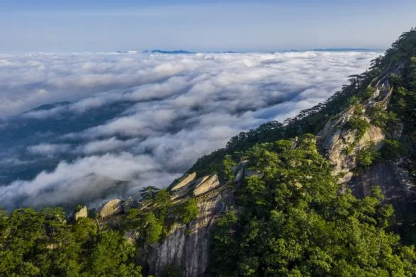 国家示范的“中部样本”——来自魅力黄冈的时代报告(图9) 国家示范的“中部样本”——来自魅力黄冈的时代报告(图9)