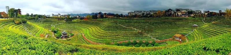 “乌蒙见证”——诗人走进毕节创作采风助力脱贫攻坚(图5) “乌蒙见证”——诗人走进毕节创作采风助力脱贫攻坚(图5)