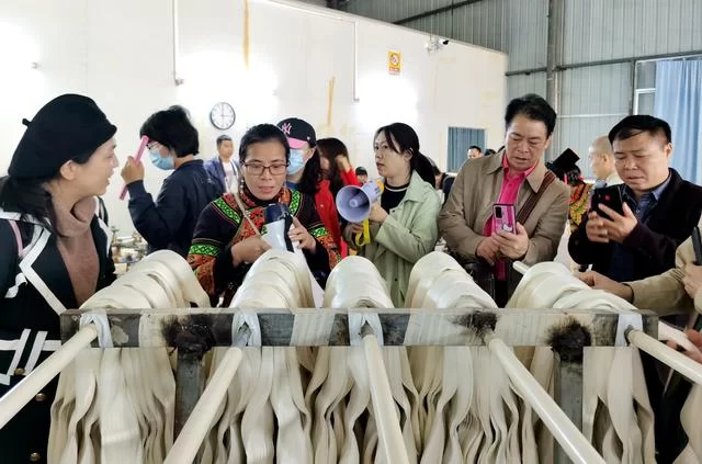 用有温度的作品助力脱贫攻坚——广西、百色两级文联组织作家赴隆林采风侧记(图12) 用有温度的作品助力脱贫攻坚——广西、百色两级文联组织作家赴隆林采风侧记(图12)